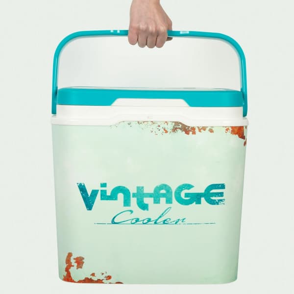 Kannettava Jääkaappi Colorbaby
