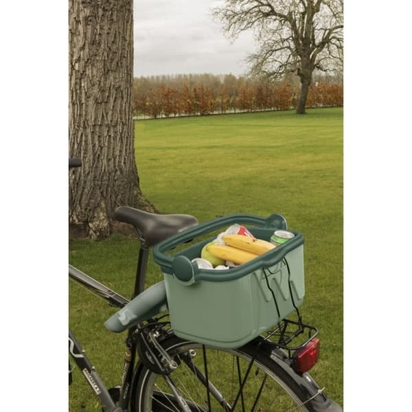 Transportabelt Køleskab Curver 261196 Grøn 10 L Plastik (1 Dele)