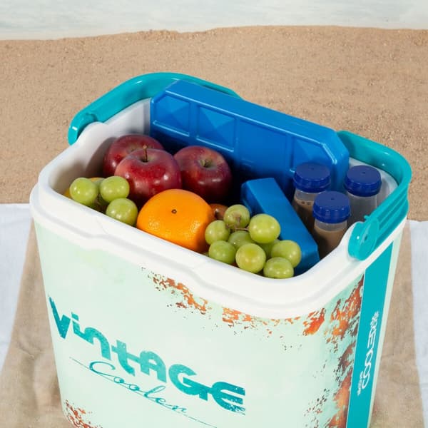 Bärbar styv kylare Aktive 24 L 37 x 35 x 27 cm Blå (2 antal)