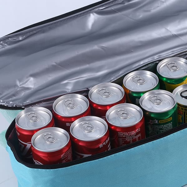 MULTIFUNKTIONSSTRANDBÅGE för PICKNICK-Shopping + KYLNING I TERMISK KAMMARE