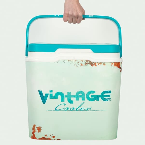 Bärbar styv kylare Aktive 24 L 37 x 35 x 27 cm Blå (2 antal)