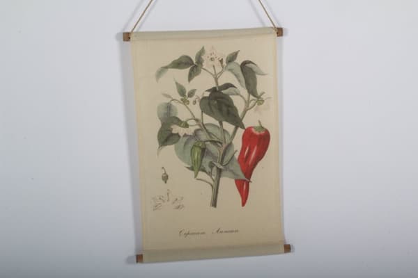 Bonad i canvas tyg med chili växt