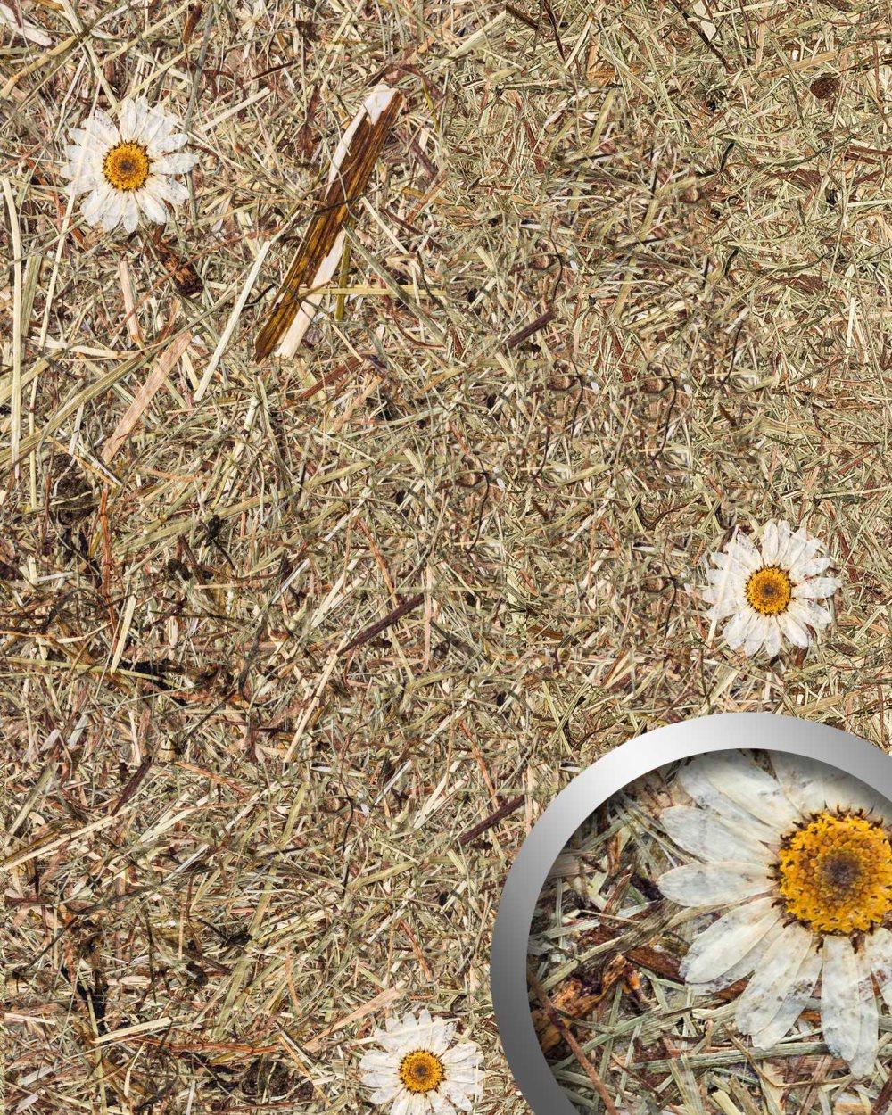 Väggpanel självhäftande WallFace NATURAL AL-11004-SA naturliga obehandlade alpina blommor och gräs texturerad matt med torkade margueriter brun 4,15 m