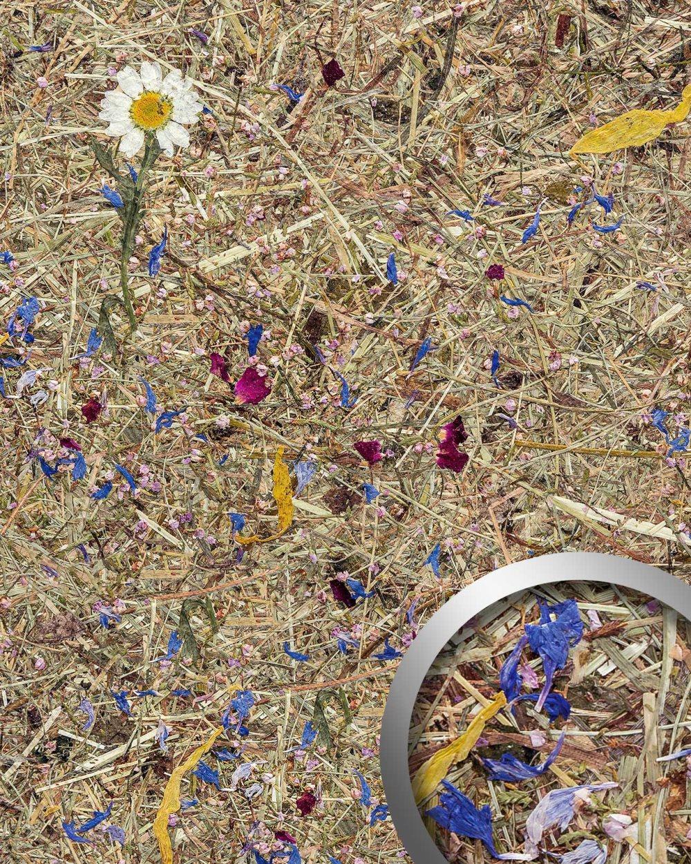 Väggpanel självhäftande WallFace NATURAL AL-11005-SA naturliga obehandlade alpina blommor och gräs texturerad matt med torkade blomblad brun 4,15 m2