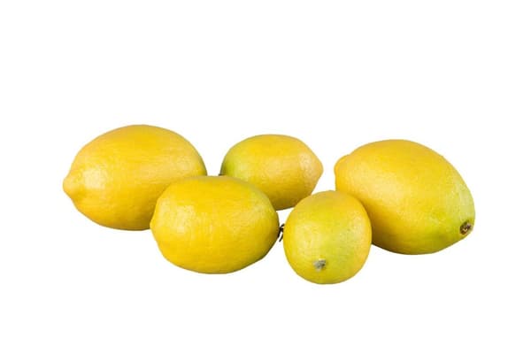 A Lot Dekoration - Pynt Kunstig Citron 6-9cm 8-pak