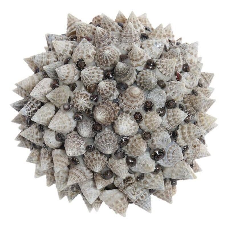 Dekorationsboll DKD Home Decor Snäckor Naturell (12 x 12 cm)