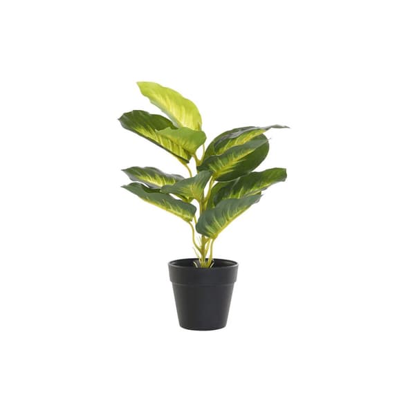 Koristekasvi DKD Home Decor PVC polypropeeni 25 x 25 x 30 cm