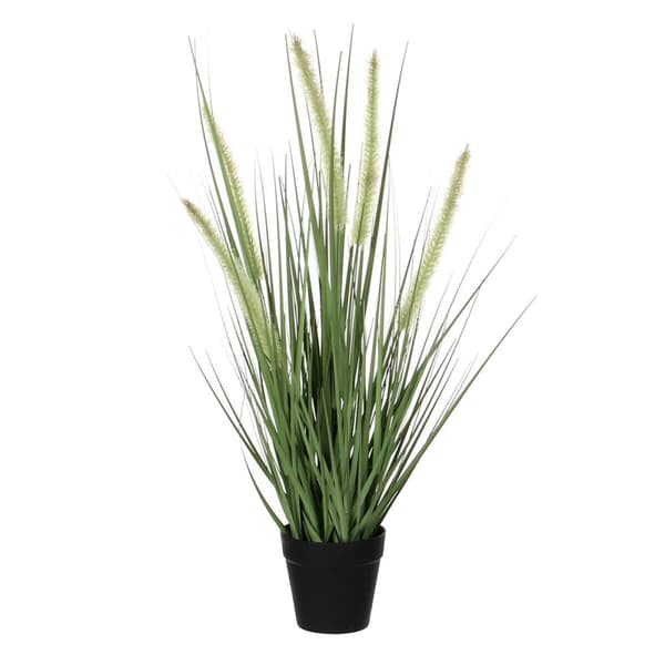 Koristekasvi Mica Decorations Dogtail PVC