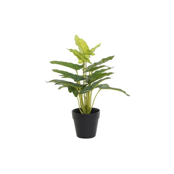 Dekorativ plante DKD Home Decor PVC polypropylen 25 x 25 x 30 cm