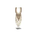 Miniatyrbillede 1 af 3: Dekorativ figur DKD Home Decor Halskæde Jern Muslinger (23,5 x 15 x 70 cm)