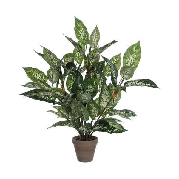 Dekorativ plante Mica Decorations Dieffenbachia Dieffenbachia Grøn PVC (15,7 x 70 cm)