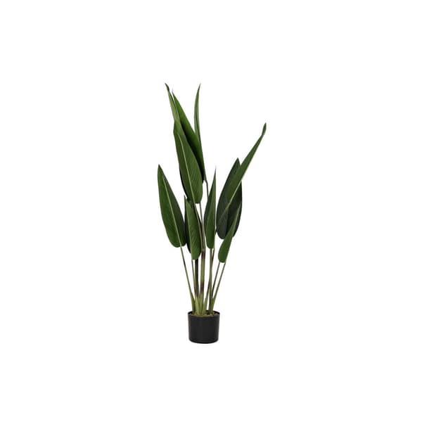 Dekorativ växt DKD Home Decor 40 x 40 x 115 cm Polyetylen Grön Paradisets Fågel Urban