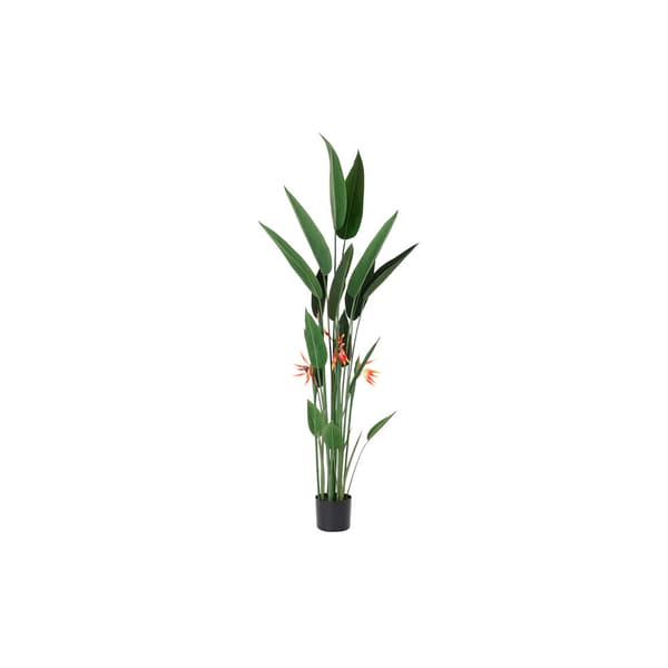 Dekorativ växt DKD Home Decor 75 x 75 x 180 cm Orange Grön Gul polypropen Paradisets Fågel