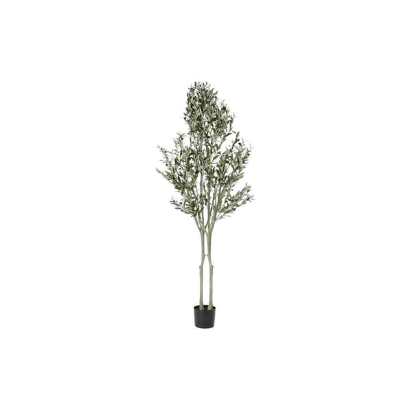 Träd DKD Home Decor Polyester polypropen Olivträd 80 x 80 x 180 cm (80 x 80 x 180 cm)