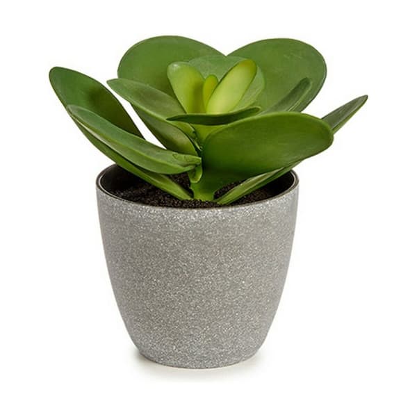 Dekorativ växt Ibergarden YC184572 Plast 18 x 18,5 x 18 cm (6 antal)