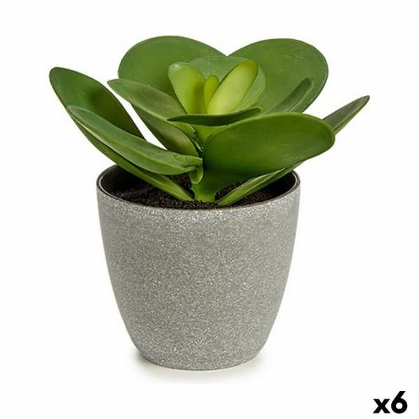 Dekorativ växt Ibergarden YC184572 Plast 18 x 18,5 x 18 cm (6 antal)