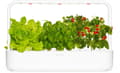 Miniatyrbild 5 av 9: Click & Grow Smart Garden 9 Pro, white