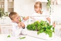 Miniatyrbild 6 av 9: Click & Grow Smart Garden 9 Pro, white