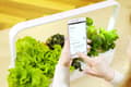 Miniatyrbild 8 av 9: Click & Grow Smart Garden 9 Pro, white