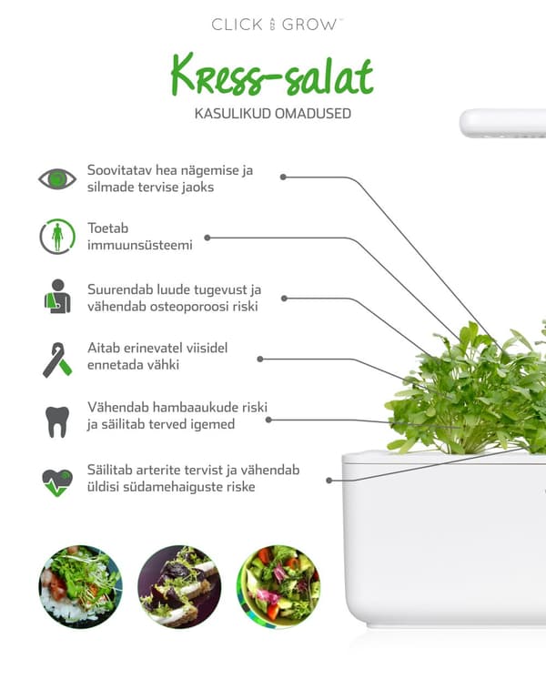 Click & Grow Smart Garden refill Cress 3pcs
