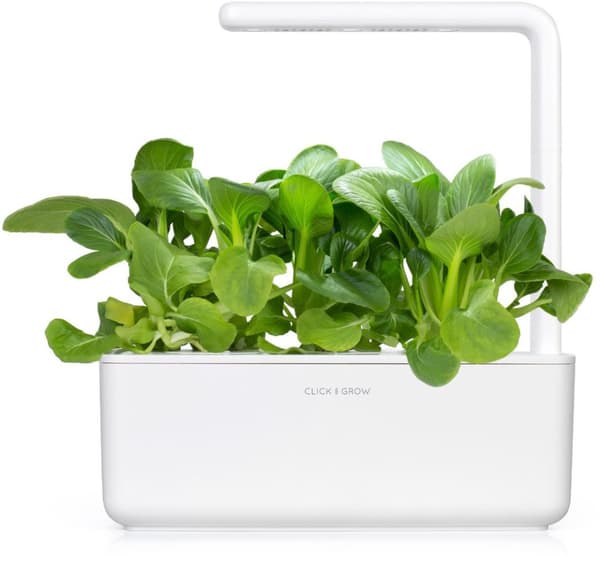 Click & Grow Smart Garden refill Pak Choi 3pcs