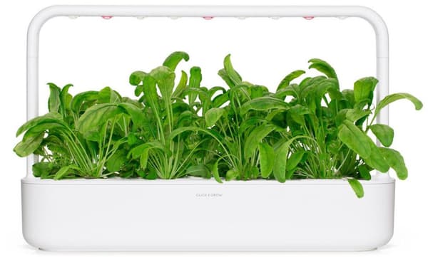 Click & Grow Smart Garden refill Mibuna 3pcs