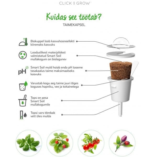 Click & Grow Smart Refill Italian Kale 3pcs