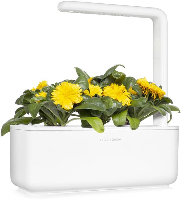 Click & Grow Smart Refill Marigold 3pcs