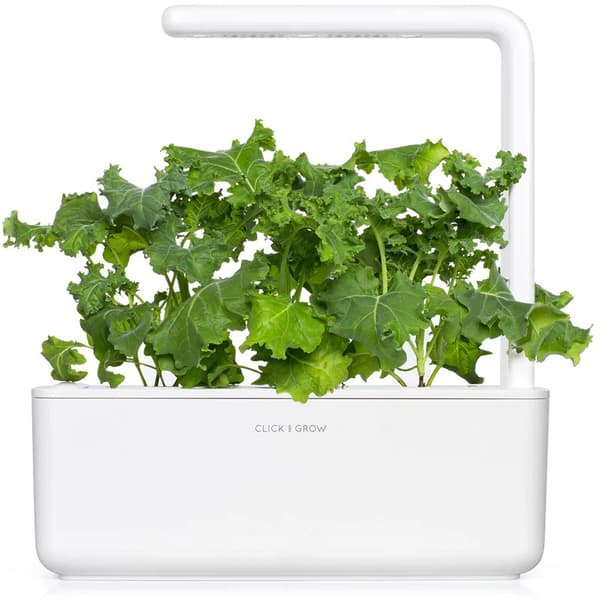Click & Grow Smart Refill Green Kale 3pcs