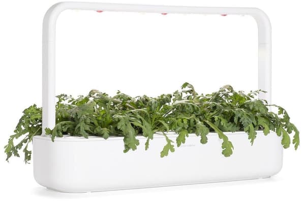 Click & Grow Smart Garden refill Shungiku 3pcs