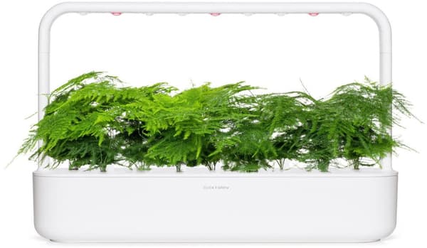 Click & Grow Smart Refill Feather spar 3pcs