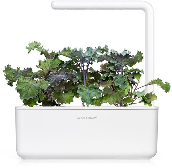 Click & Grow Smart Garden refill Red Kale 3pcs