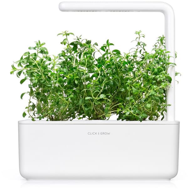 Click & Grow Smart Garden refill Mountain Savory 3pcs