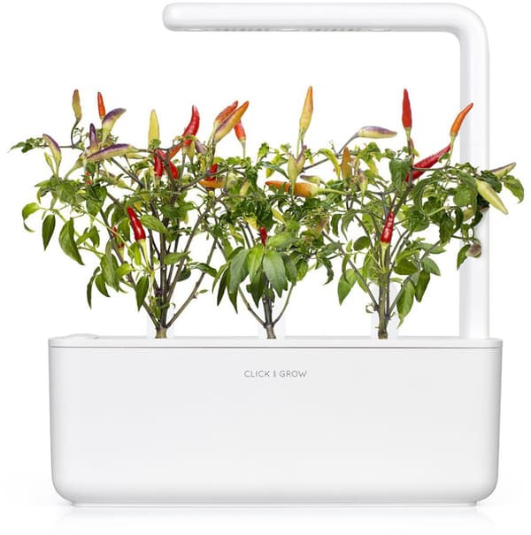 Click & Grow Smart Garden refill Red Hot Chili Pepper 3pcs