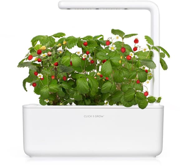 Click & Grow Smart Garden refill Wild Strawberry 3pcs