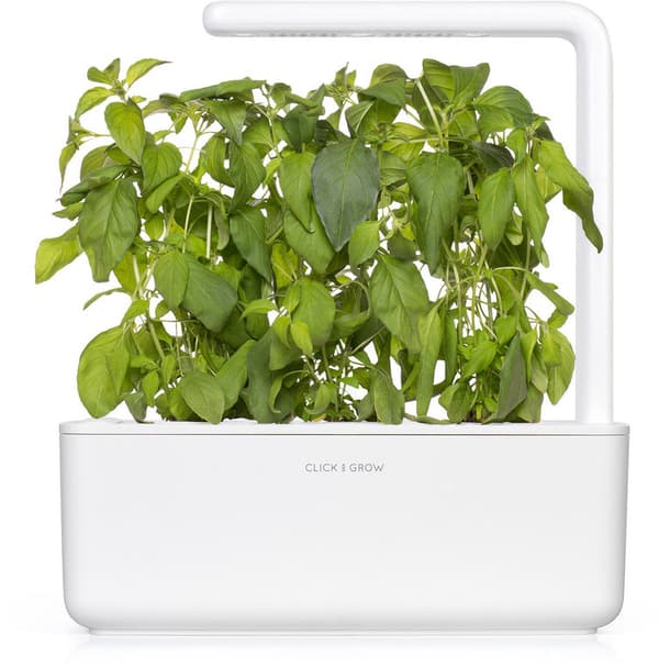 Click & Grow Smart Garden refill Lime Basil 3pcs
