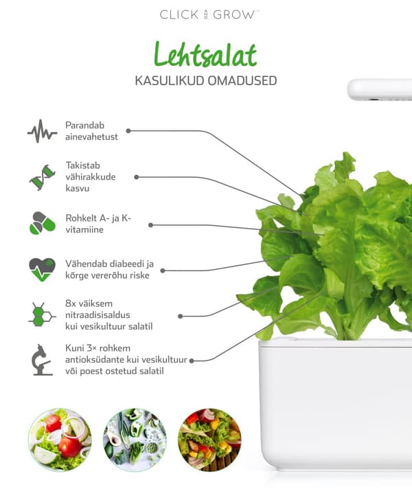 Click & Grow Smart Garden refill Lettuce 3pcs