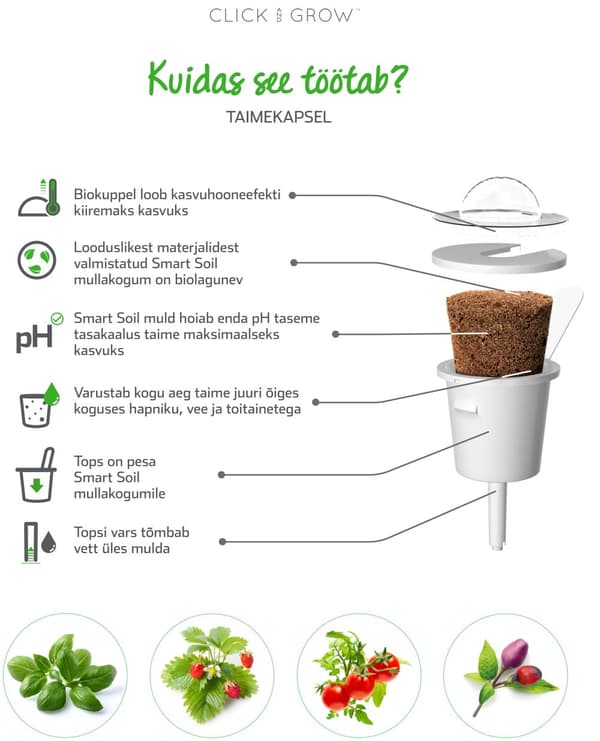 Click & Grow Smart Garden refill Grow Anything 3tk