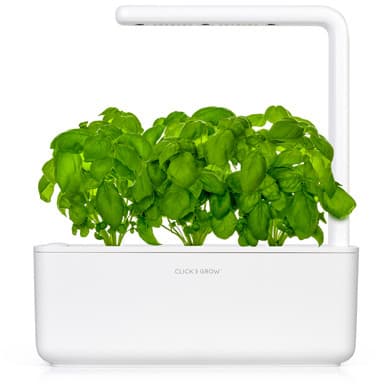 Click & Grow Smart Garden refill Basil 3pcs