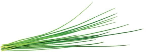 Click & Grow Smart Garden refill Chives 3pcs
