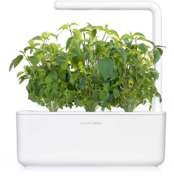 Click & Grow Smart Garden refill Thai Basil 3pcs
