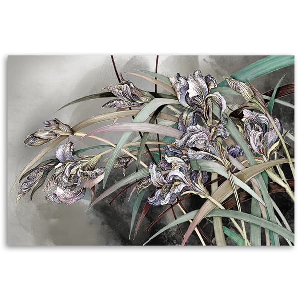 Bild, Blommor Iris i vinden - 60x40