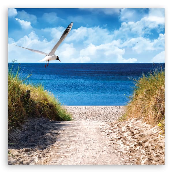 Billede på lærred, Vej til stranden og måge - 60x60