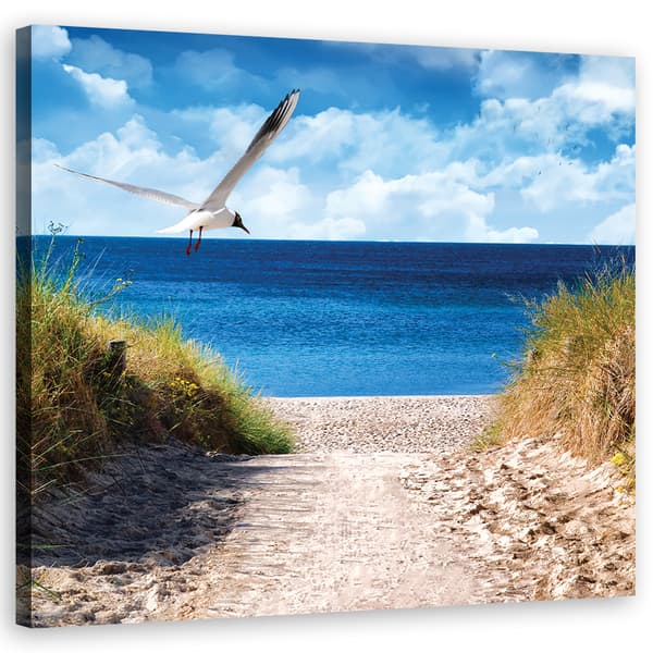 Billede på lærred, Vej til stranden og måge - 60x60