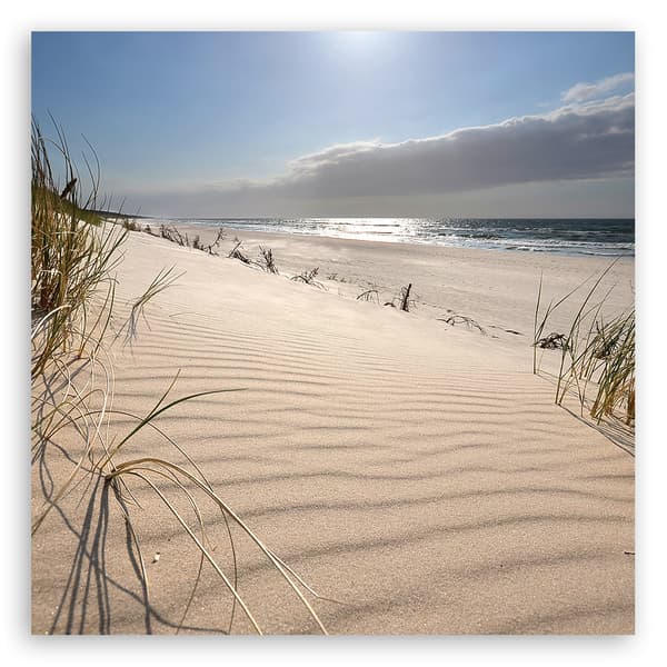 Billede, klitter på Zen-stranden - 50x50