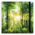 Pikkukuva 3 / 6: Kuva kankaalle, auringonsäteet Forest Nature Spa Purple - 60x60