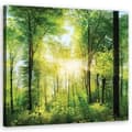 Pikkukuva 1 / 6: Kuva kankaalle, auringonsäteet Forest Nature Spa Purple - 60x60
