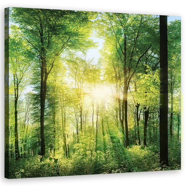 Kuva kankaalle, auringonsäteet Forest Nature Spa Purple - 60x60