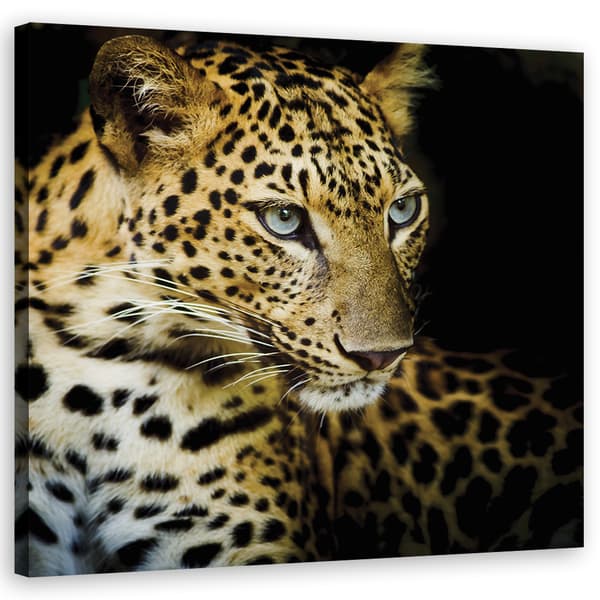 Billede på lærred, Majestic leopard - 60x60