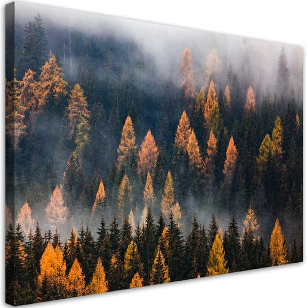 Kuva kankaalle, Puiden syysmaisema - 90x60